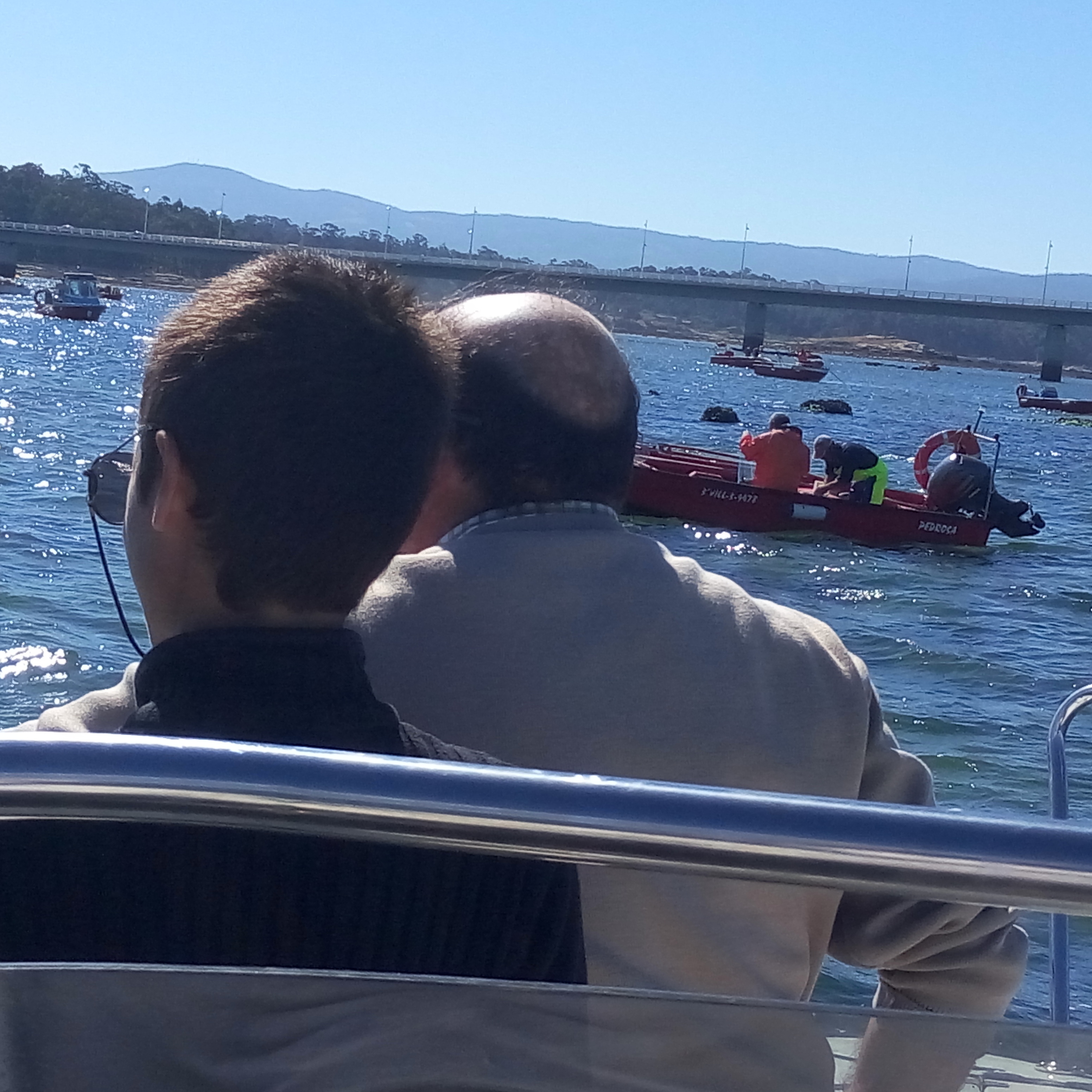 Galería de imágenes